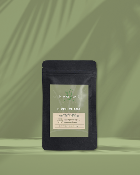 BIRCH CHAGA MICROBIOME WELLNESS POWDER